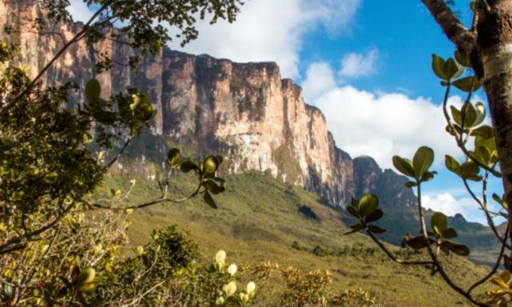 Kukenan y Roraima