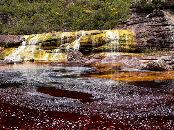 CANAIMA-48