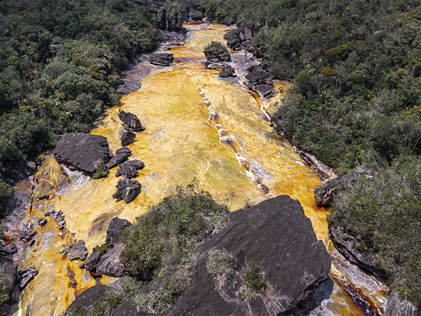 CANAIMA-49